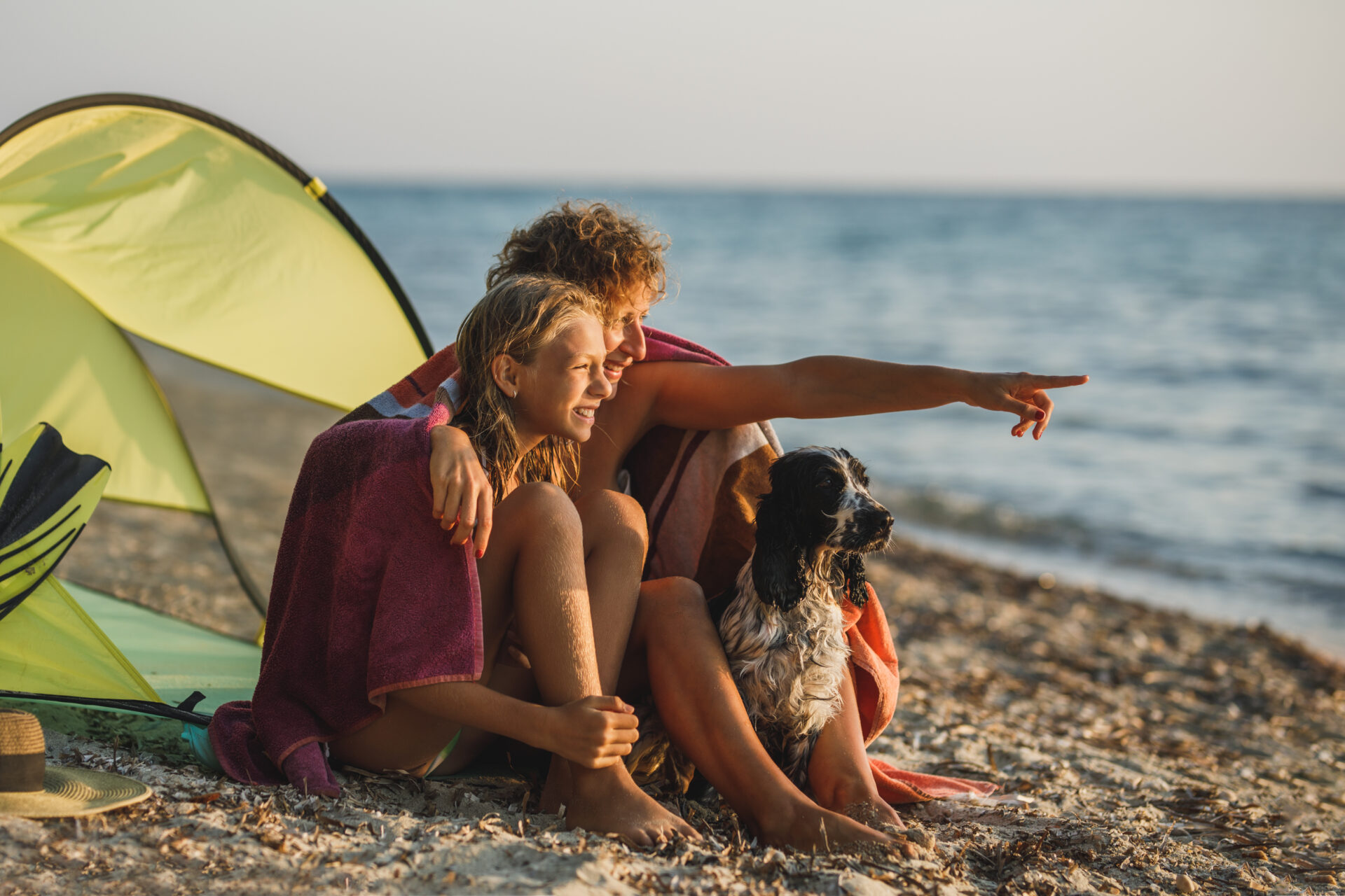 Camping With Dog